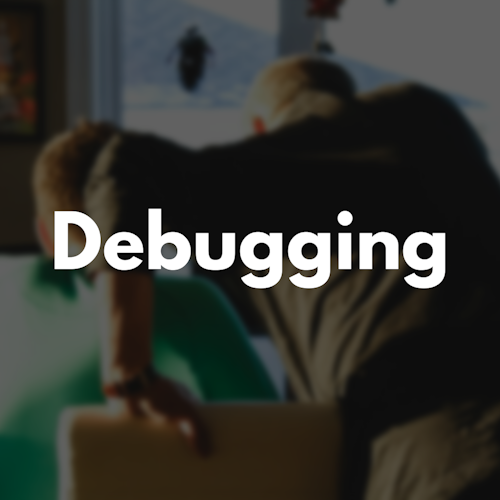 Debugging image